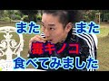 新種の毒キノコ食べました