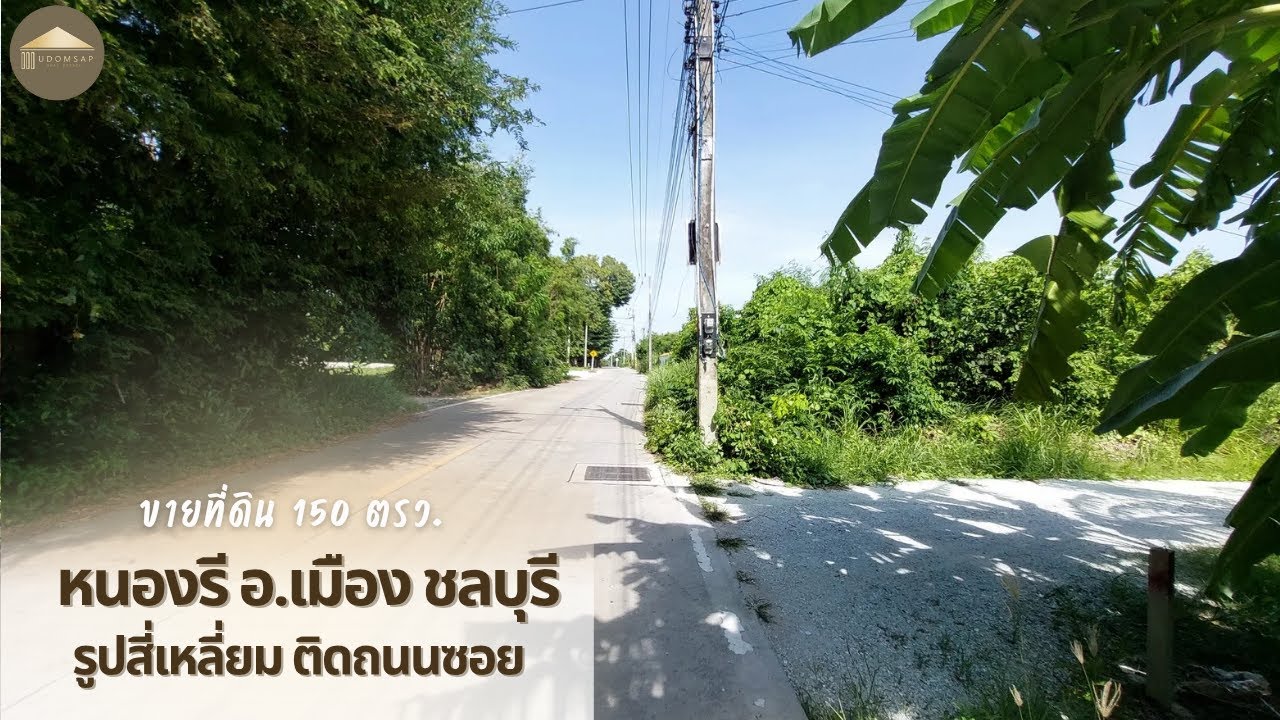 ที่ดิน 150 ตรว ใกล้รร.สารสาสน์ หนองรี อ.เมือง จ.ชลบุรี