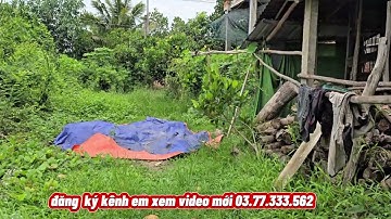 Bán  4 công đất lúa  tại thạnh hóa long an xe tải cập đất giá 135 tr/c