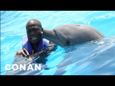 Kevin Hart: Dolphins Are Racist! - CONAN on TBS