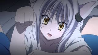 Highschool DxD BorN Koneko - Meow