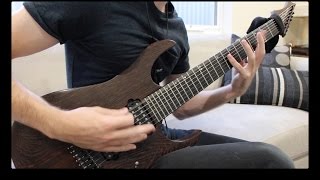Periphery - Flatline Cover & Guitar Mix