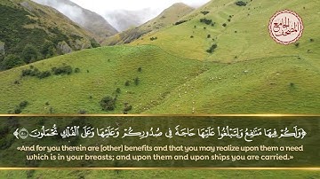 تلاوة جميلة جدا لآيات من سورة غافر