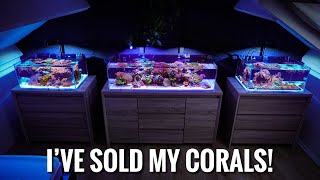 An Update on ALL my Reef Aquariums by Danny's Aquariums 21,073 views 1 year ago 8 minutes, 1 second