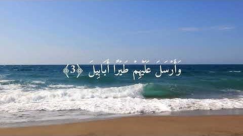 سورة الفيل بصوت الشيخ القارئ احمد العجمي