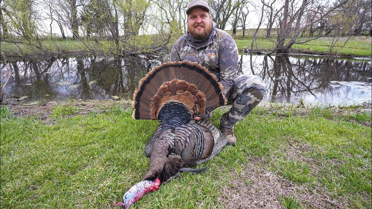 Giant Triple Long Beard Eastern Turkey Hunt!! Long Distance Shot YouTube