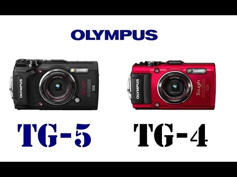 Olympus Tough TG-5 vs Olympus Tough TG-4