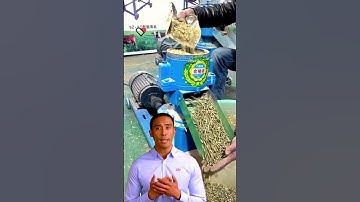 ⚽ feed pellet machine diesel engine drive 100-200kg/h #fcnfm #feedpelletmachine #youtube