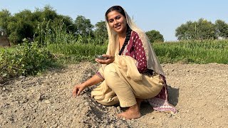 Desi Logon Ke Anokhe Kaam Village Life In Punjab Pakistan Aliza Sehar Vlogs