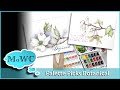 NEW Series! "Palette Picks" w/Line and Wash Botanical Demo.