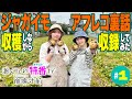 【大量収穫!?】渡くんのキャスト特番が崩壊寸前#01