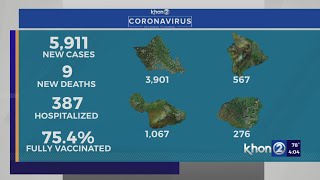 Hawaii reports 5911 COVID cases, 9 new deaths