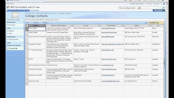 Editing a list as a data sheet