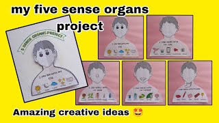 Sensory Organs Project For School My Sense Organs Drawing My Five Sensor Organs