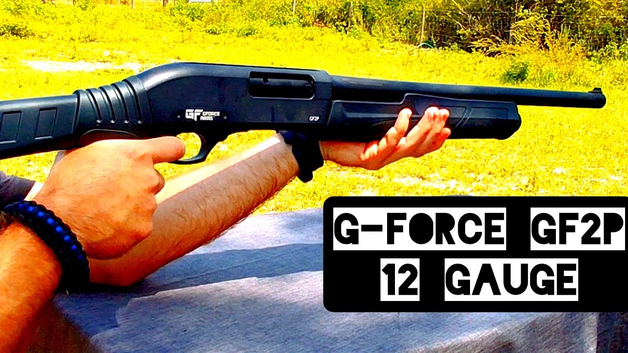 G-Force GF2P Review