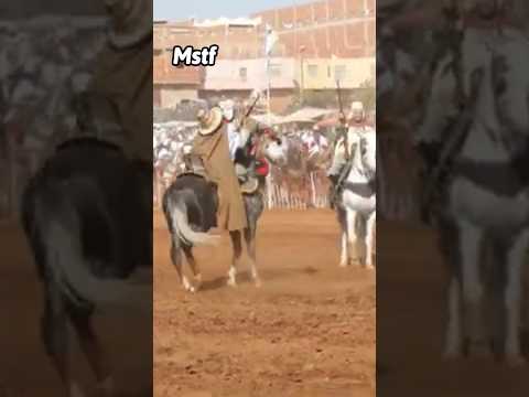 علفة عزيز تيربو تاغية ولاية معسكر