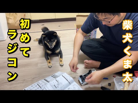 とびだせくま太 - YouTube
