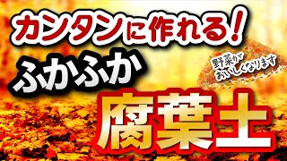 15分でつくれるかんたん「腐葉土」の作り方【家庭菜園】