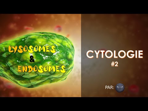 Vidéo: LRRK2 à L'interface Des Autophagosomes, Endosomes Et Lysosomes