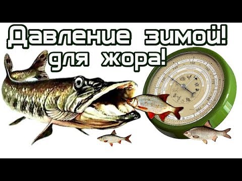 При каком атмосферном давлении лучше клюёт щука и другая рыба зимой? Давление для рыбалки зимой!