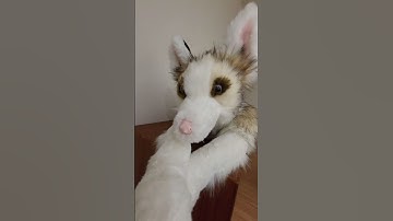 Day 1 to day 1000 of creating plushies #customplush #furry