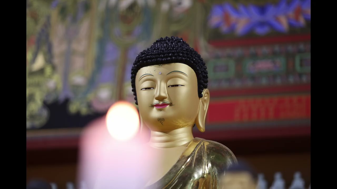 26년 1월 나주 금성산 다보사