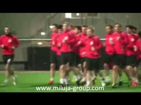 გოგუას დისკვალიფიკაცია