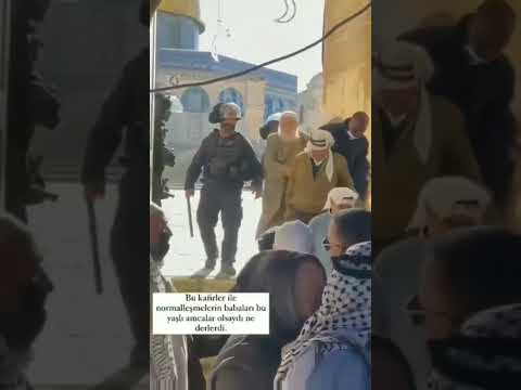 فينك ي صلاح الدين فين المسلمين حسبي الله ونعم الوكيل