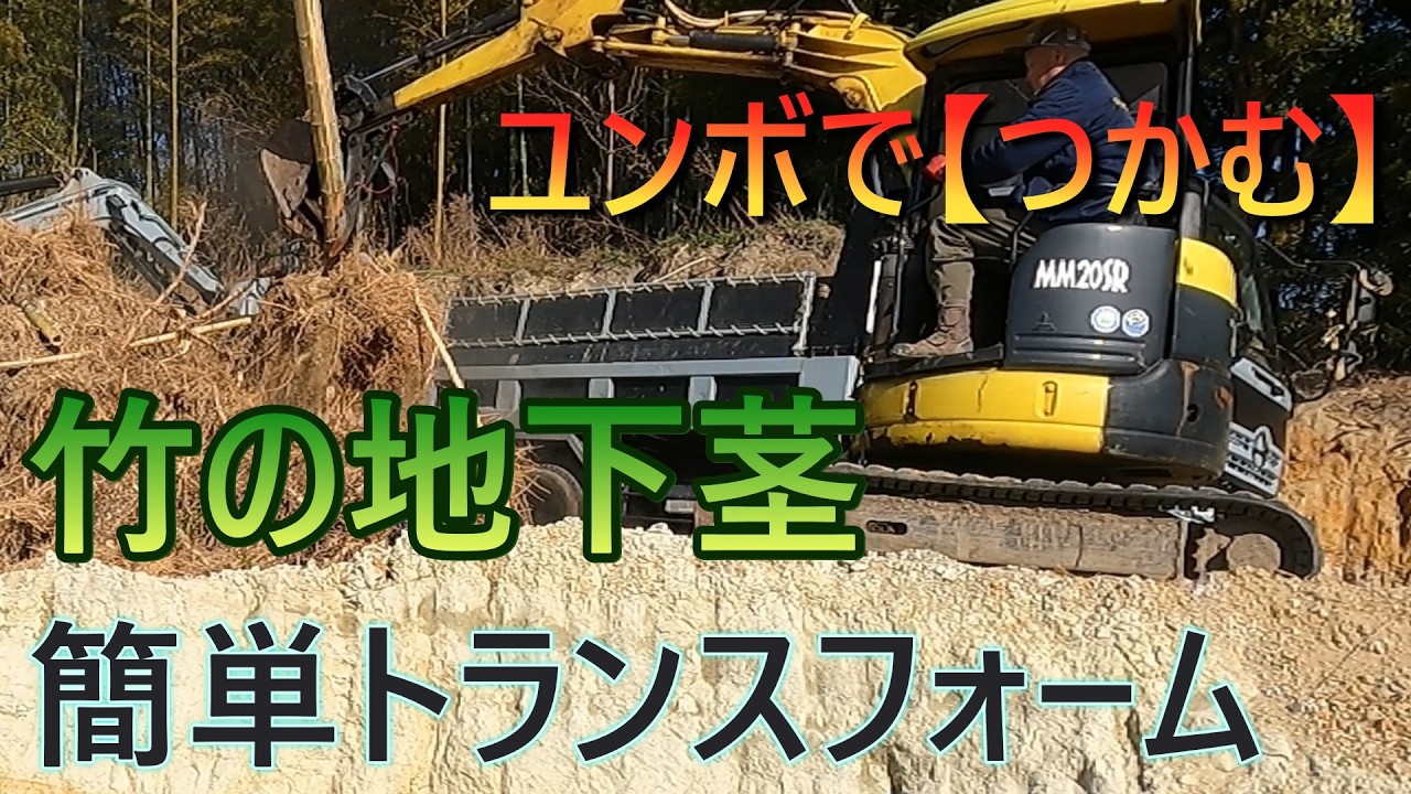 海の秘密基地＃４２２【地下茎】をユンボでつかんで移動