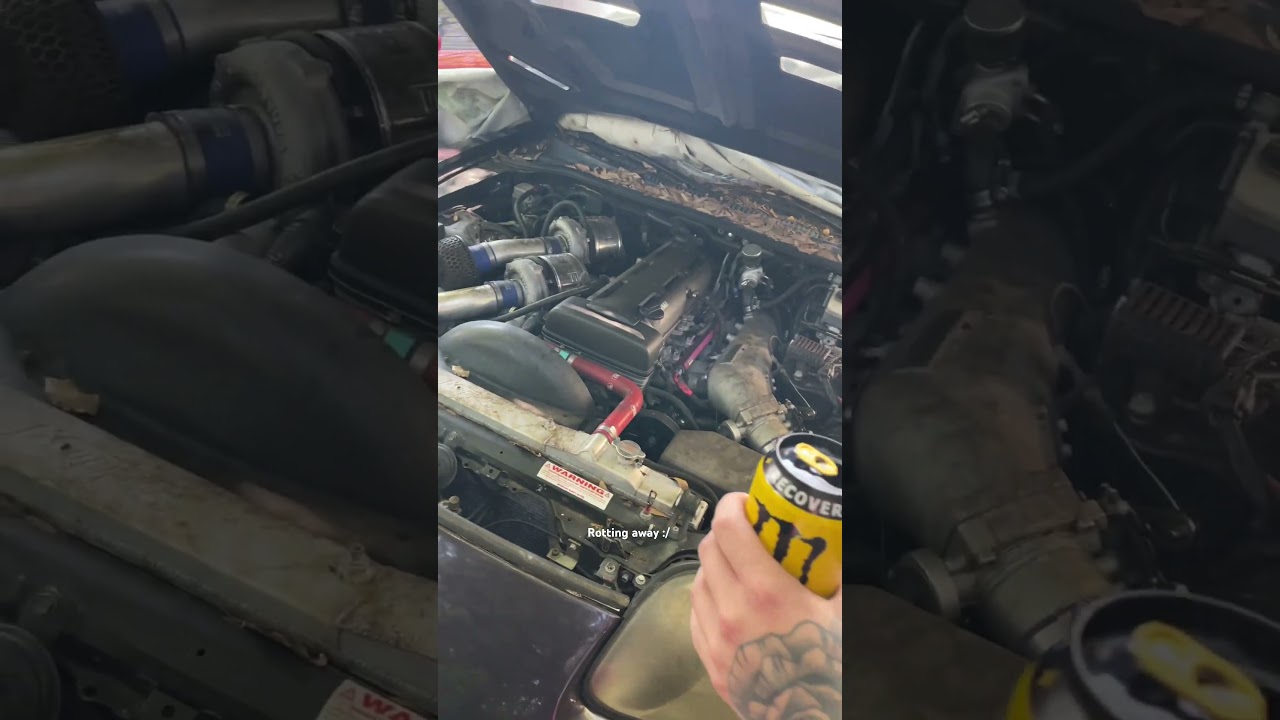 The time me and my buddy found 2 mk4 Supra’s just sitting and rotting… 