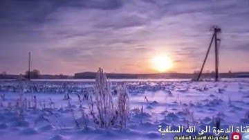 أرح سمعك🌷 تلاوة مميزة 🎧 للقارئ 🎙 محمد أنعم الشرعبي