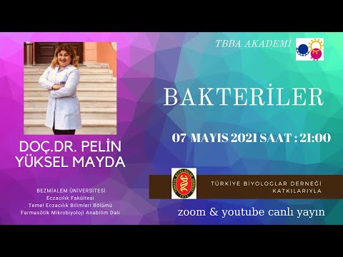 Video: Gram boyama işlemi sırasında neden Gram negatif bakterilerin pembe kırmızıya boyanmasını bekliyoruz?