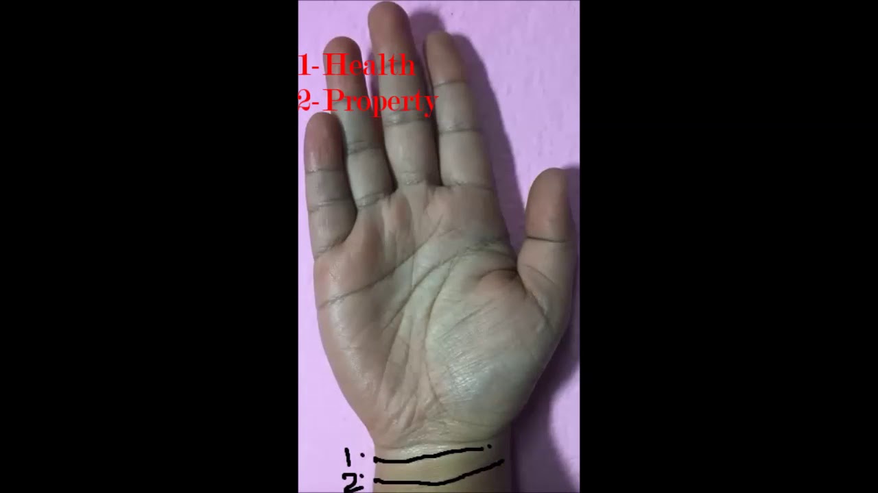 95 Best palmistri ideas | palm reading, palmistry, book of shadows