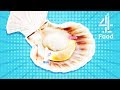 Scallops are Hermaphrodites?! | Food Unwrapped