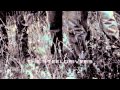 The SteelDrivers If It Hadn T Been For Love Official Audio The SteelDrivers If It Hadn T Been For Love Official Audio