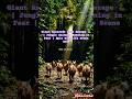 Giant Anaconda Cave Escape 🐍 | Jungle Animals Running in Fear | Epic Wildlife Scene 2026#Anaconda