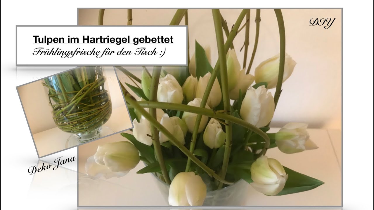 DIY: Wohn.- und Deko Idee, Frühlingserwachen... Tulpe küsst Hartriegel (How to) / Deko Jana🌷