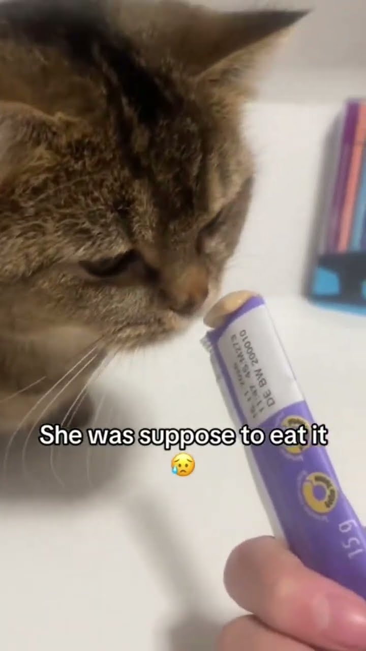 Kittyo doing a skincare routine they like ahh yasss