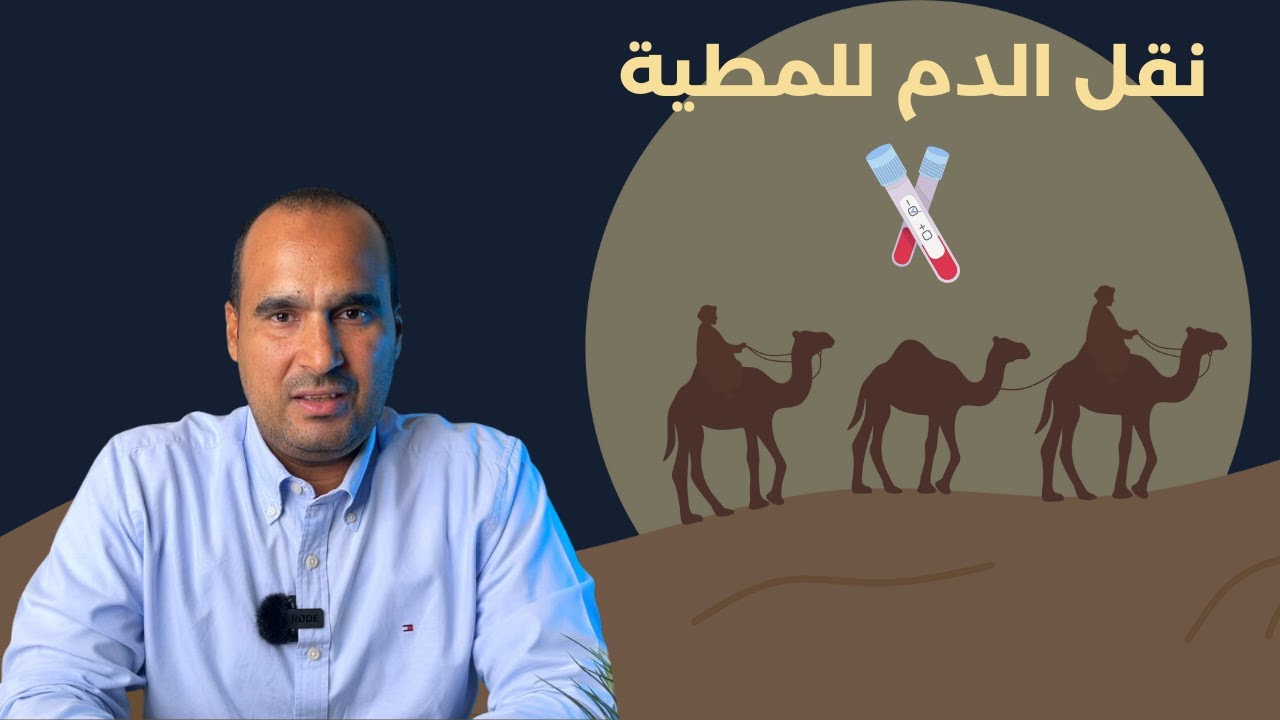 نقل الدم للمطية