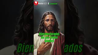 Mateo 5 3 al 8 Las Bienaventuranzas #youtube #viral #video #viralvideo #dios  #jesus #fe