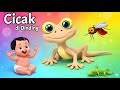 Cicak Cicak di Dinding - Lagu Anak Ceria &amp; Lucu - Lagu Anak Indonesia Terbaik