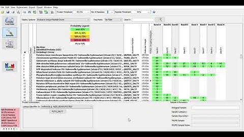 Video Tutorial for Scaffold Software