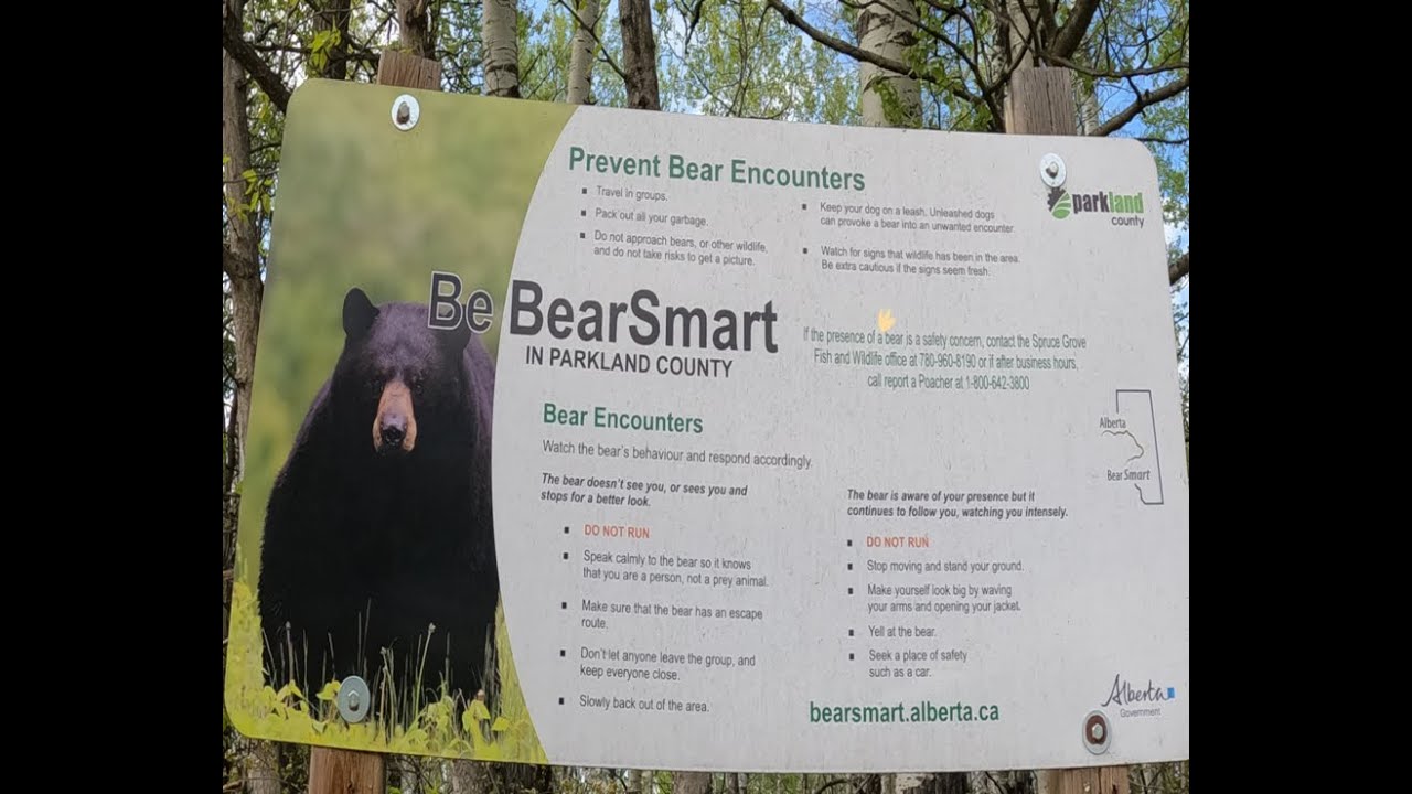 Walk in Chickakoo Lake 👍🌞💃🕶