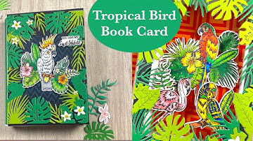 Using an Entire Stamp Set to Create a Pop up Shadow Box Book Card