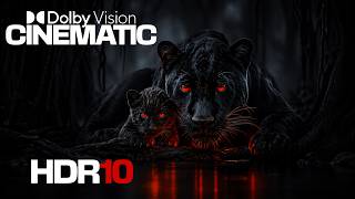 4K Ultra HD HDR Experience | Nature's Beauty in Perfect Color