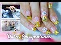 Alongamento Unhas de Gel encapsuladas com Glitter New Chic | Aline Makelyne