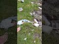 Fast-litter Bike Ride