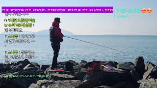 #군산#새만금#2-45#찌낚시 (흘림)#감성돔#고등어 도전 톡톡 ^^
