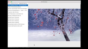 OSX WindowCapture Demo in Swift with RxSwift