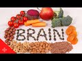 Understanding the Gut-brain Connection for Health